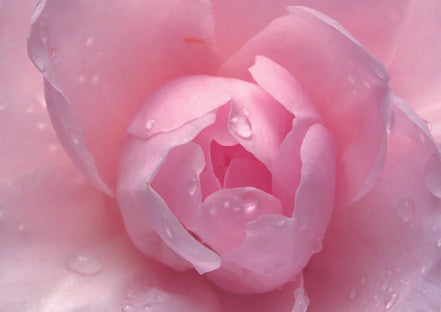 ANTI ÂGE FACE REPAIR SERUM | RETINOL [2.1%] + VITAMIN C [5.6%] | Skin + Scars-4