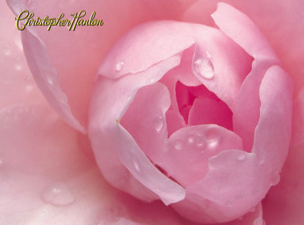 BALSAMO PER IL CORPO ANTI ETÀ LIFT | Mega Tub | Tutti i tipi di pelle