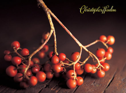 BALSAMO PER IL CORPO ANTI ETÀ LIFT | Mega Tub | Tutti i tipi di pelle