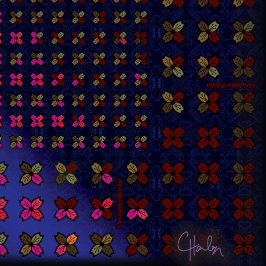 CHRISTOPHER HANLON® Schal No5 | Chiffon